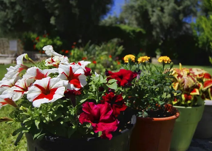 Saint Thomas Village Appartement *